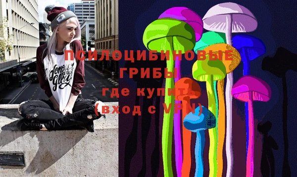 МДПВ Алзамай