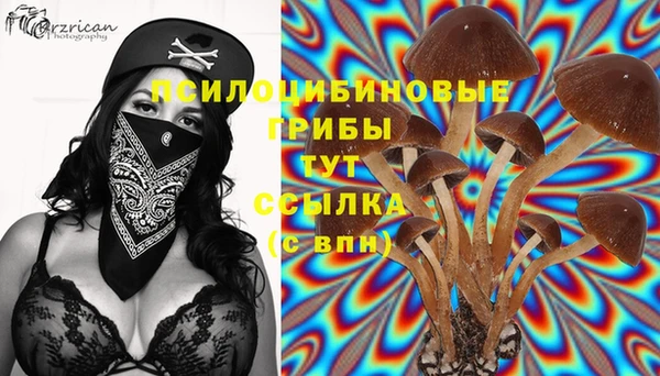спайс Алексин