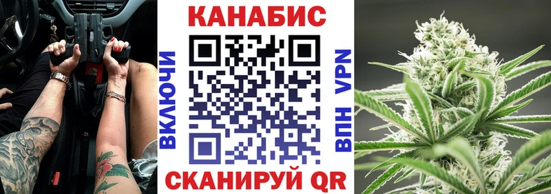 сколько стоит  Починок  Конопля планчик 